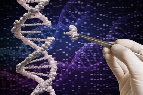 DNA Testing for Cancer